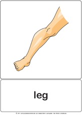 Bildkarte - leg.pdf